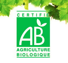 vin bio provence