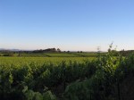 chateau-marguerite