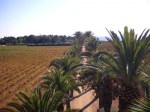 domaine-madrague